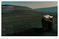 i-D 2008